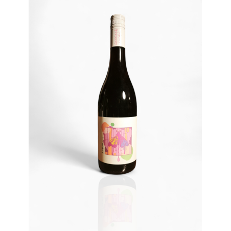 JUPITER 2024 - Regent, Dornfelder