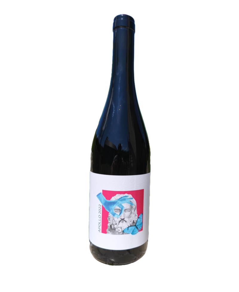 APOLLO 2022 - Zweigelt Barrique