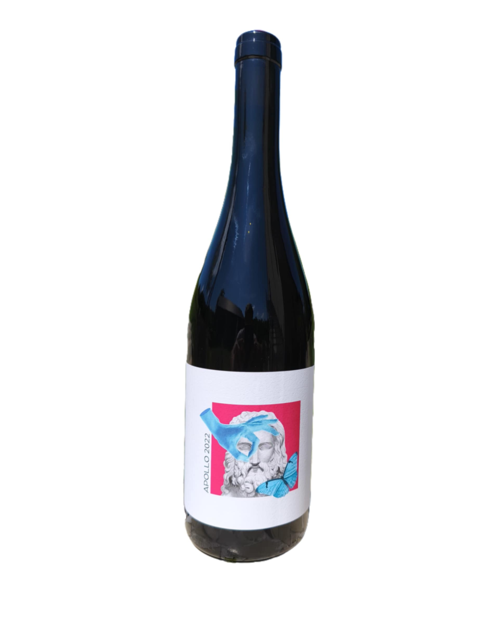 copy of JUPITER 2023 - Regent, Dornfelder