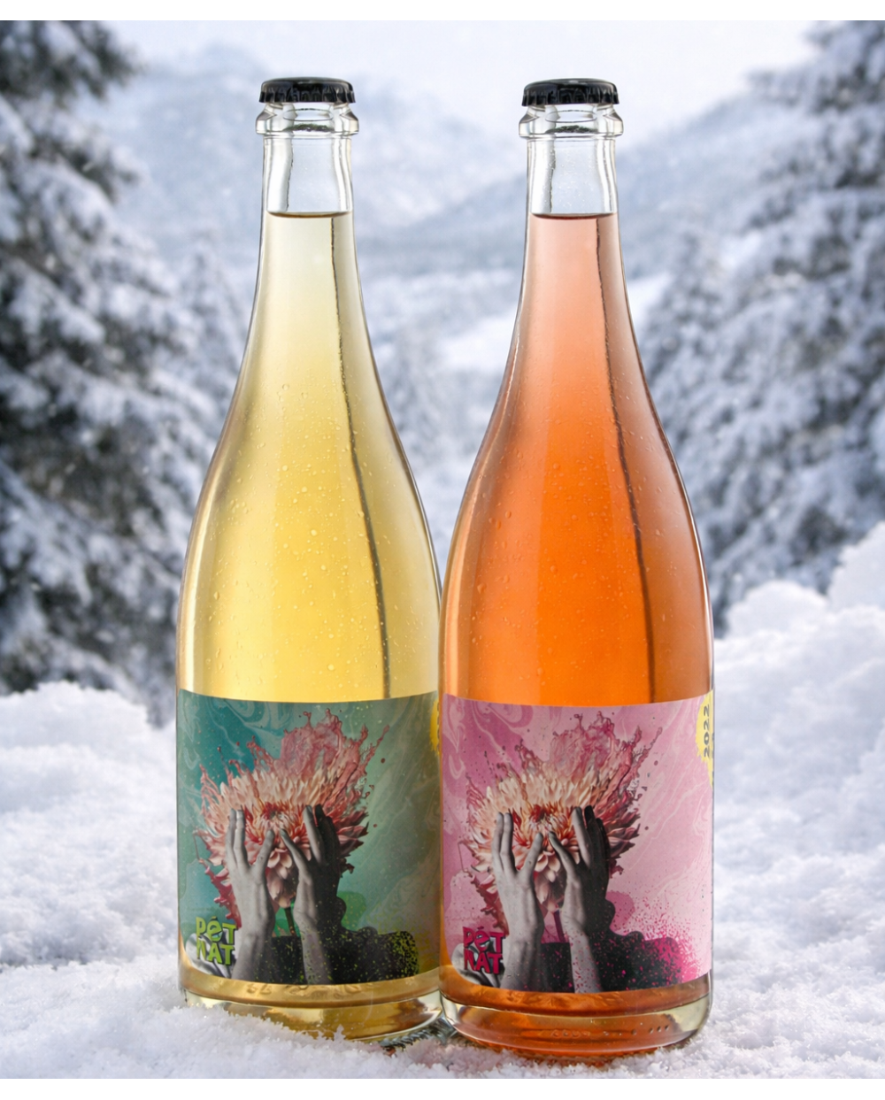 Zestaw PET NATÓW z rocznika 2024